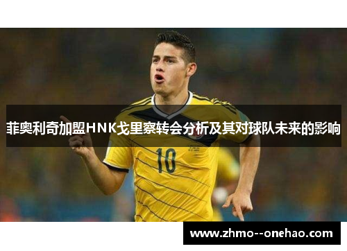 菲奥利奇加盟HNK戈里察转会分析及其对球队未来的影响