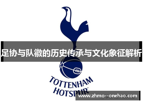 足协与队徽的历史传承与文化象征解析